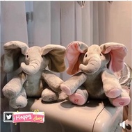 Peek a boo elephant elephant elephant elephant