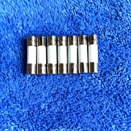 Ceramic Fuse Tube 5x20mm 0.5 1A2A3A10A20A30A Flat Head Tubular Fuse Tube