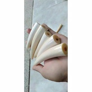 Pipa Once Rokok Iga Duyung Asli Gurih Panjang 10cm