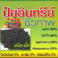 ปุ๋ยอินทรีย์อัดเม็ด  สูตรผสาน มูลขี้ไก่ ขี้วัว ขี้ค้างคาว พืชย่อยสลาย  ธาตุอาหารเข้ม และครบ ถุงละ 19