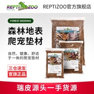 Rupi Forest Ground Climbing Pet Bedding Material Snake Tortoise Lizard Blue Tongue Spider Tank Lands