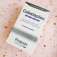 💥現貨💥 Protexin Cobalaplex 可萊適 60顆