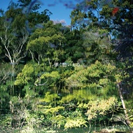 Fictional Things (CD)/Ryota Fujikaru eslite