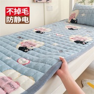 Lót Lông Cừu Mềm Nệm Sinh Viên Giường Ký Túc Xá Giường Một Tầng Giường Dưới Mỏng Mùa Đông Tấm Nhung 