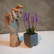 手工薰衣草小盆栽 -微鉤/微鈎-
