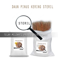 Media tanam sarang burung daun cemara daun pinus kering 1Kg sudah steril OK470