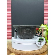 [YBB] High Quality ZiSha Bonsai Pot 高質量紫砂盆