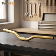 [PETSOLA] Aluminum Bike Handlebar AL6061 Swept Handlebar Heat Treated Silver 30H