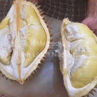 Durian Montong Bali Utuh