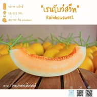 Premium Golden Melon Rainbowsweet