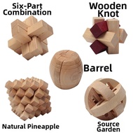 QY TOYS | Challenging IQ Building Chinese Puzzle Set