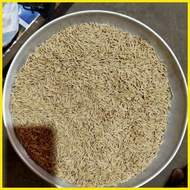 ♞,♘Palay Seeds  (binhi) malagkit, red rice, rc27 1/2kilo per pack