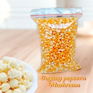 MUSHROOM 250 grams Jumbo raw Popcorn corn Mushroom Popcorn Kernel