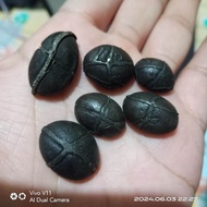 Batu akik Jala sutra tapak jalak