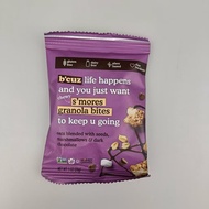 Granola Bites Smores Snack 1oz | Chocolate Marshmallow Healthy On-the-Go Treat PH