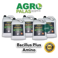 5L BACILLUS PLUS AMINO BIO XPLUS