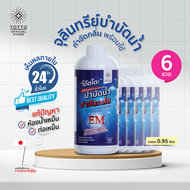 จุลินทรีย์โต๊ตโตะพร้อมใช้ บำบัดน้ำ กำจัดกลิ่น จำนวน 6 ขวด(จุลินทรีย์โต๊ตโตะ-Organic Totto)