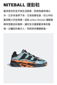 Adidas NITEBALL 運動鞋 / 淺藍色
