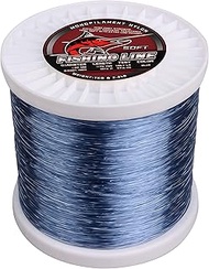 AGOOL Big Game Monofilament Fishing Line Spool Nylon Fishing Leader Lines 2.2 lbs Clear Nylon Mono F