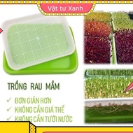 Smart Sprout and Bean Sprout Growing Tray Without Substrate