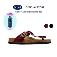 SCHOLL Women's Sandals Nicole Model F30053 Sandal Ortopedik Perempuan