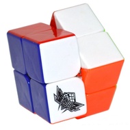 Cyclone Boys 2X2 Speed Cube Professional Magic Cube 2x2x2 Stickerless