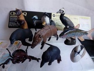 海洋堂 choco Q animatales animals in japan series 6 日本動物 朱古力蛋 散款 9隻