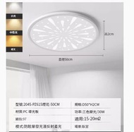 全城熱賣 - 簡約吸頂燈【煙花款50cm-三色變光30W】