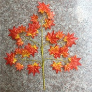 Wholesale bunch of maple leaves with 3 branches. price of 10 branches