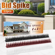 12Pcs Anti Climb Bird Spike Fence Wall Anti Bird Spike For Building Protection