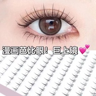[Natural Big Eyes] Small Flame Lower Eyelashes Ten Row Super Large CapacitySingle Cluster Supernatur