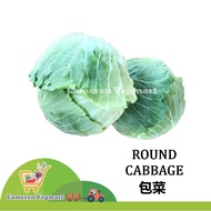 Cameron Cabbage / Cameron Kobis Bulat <Fresh Vegetables from Cameron Highland> 金马伦新鲜包菜 Sayur Segar