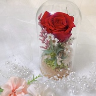 【客製化禮物】迷你永生玫瑰花玻璃罩。美女與野獸款