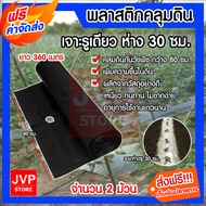 พลาสติกคลุมดิน คลุมวัชพืช คลุมแปลงเกษตร สีดำ เจาะรูเดียว ระยะห่างรู 30 cm. กว้าง 80 cm. ยาว 360 เมตร