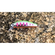 🔥JAPAN MIRCO MINNOW 5CM 6.5G🔥FAST SINKING MINNOW SAME AS STORM GOMOKU 6.7g gram