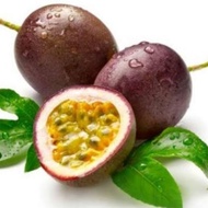 20 biji benih markisa merah/ red passion fruit seed