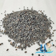 Black Pearl Stone 4mm-11mm Plant Plant Decoration Stone Rock Aquarium Decoration Stone 1KG  by LS Aq