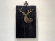 鹿藝仕特製款 雷雕路原木板 已開透氣孔 碳化板 鹿角蕨 成株可用