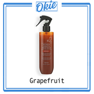 R2 絲柔蛋白護理精華噴霧 250ml【平行進口產品】韓國RAIP 頂級摩洛哥油修護 葡萄柚香味