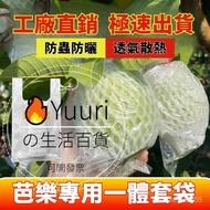 💖Taiwan Shipment💖Guava Dedicated Insect-Proof Mesh Bag Guava Mesh Cover Insect-Proof Bag Guava Bag G