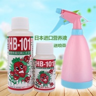 强效原装日本进口HB101植物活力50ML素颗粒肥料多肉兰花生根水溶肥 1HHO