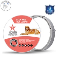 🎨Cute Pet Planet🎨ปลอกคอกันเห็บ หมัด ยุง สุนัข แมว กันน้ำ ป้องกัน 8 เดือน Flea and tick collar