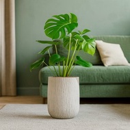 龜背芋 奶白色樹紋落地大盆栽 開幕花盆 觀葉植物 居家裝飾