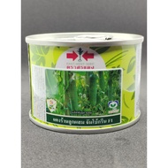 BENIH TIMUN  PANAH MERAH THAILAND  50GM