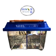 Betta tank guppy tank fish tank akuarium ikan laga fightingfish