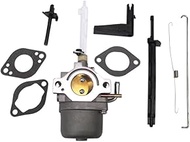 20A113 20A114 Carburetor 696737 794593 Replacement for Briggs & Stratton 20M114-0671-E1 Engine 20M11