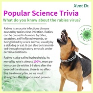 ⦶ ▅ ❤ Xvet Dr Dog and Cat Test Kit RBV Test Paper Rabies Virus Rapid Test Kit For Dog and Cat