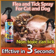 ∽ ➯ ∈ Garapata Rremover For Dog Spray Gamot Sa Garapata Ng Aso Kuto Ng Aso100ML