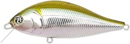 Pontoon 21 Bet A Shad 63SP-SR 012