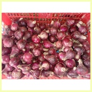 ⊙ ◿ 유 ♞1 kg lasona native sibuyas red onion from ilocos